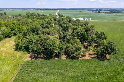 PARCEL C LAND, MINGO, IA 50168, photo 5 of 19