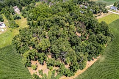 PARCEL C LAND, MINGO, IA 50168, photo 3 of 19