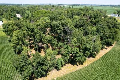 PARCEL C LAND, MINGO, IA 50168, photo 4 of 19